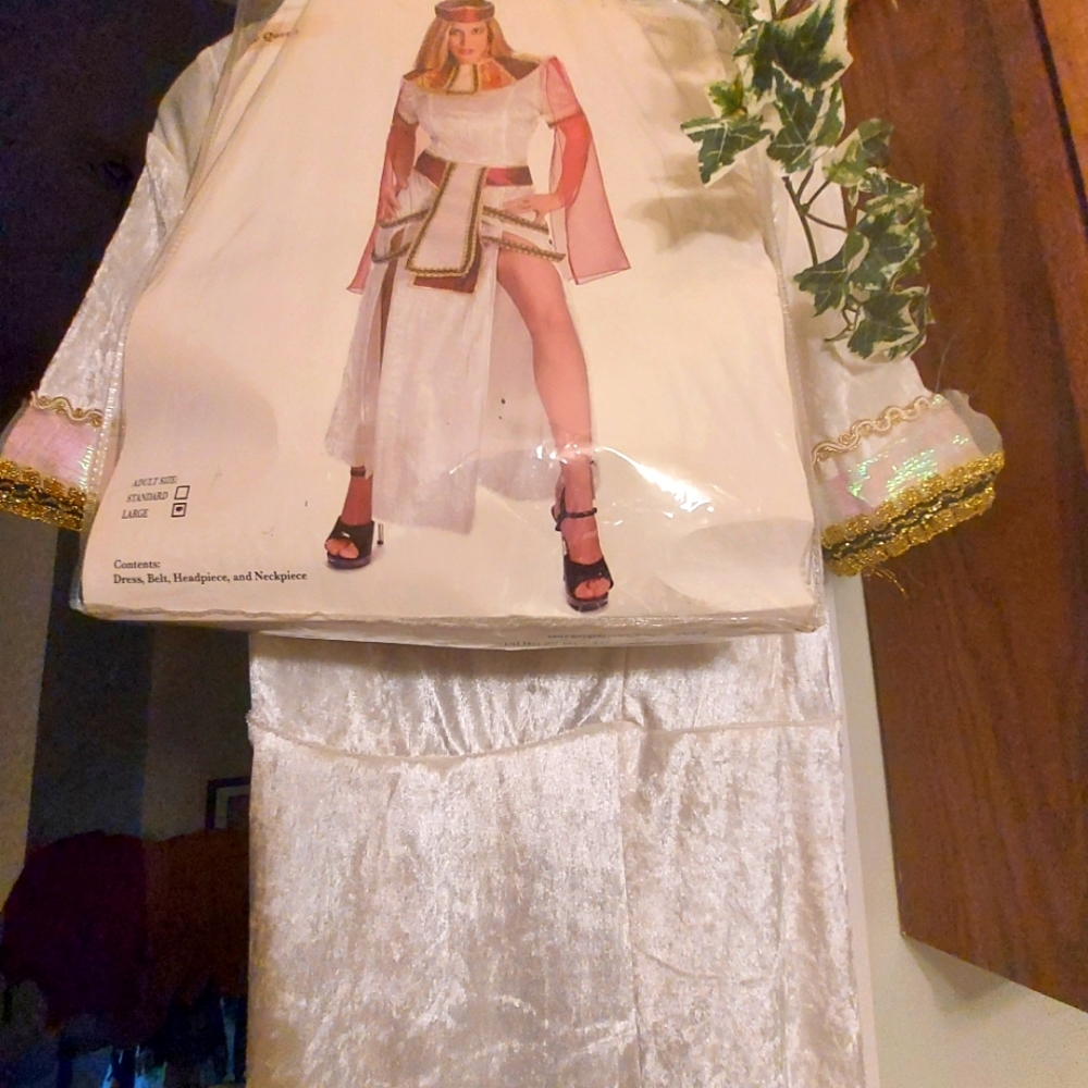 Costume